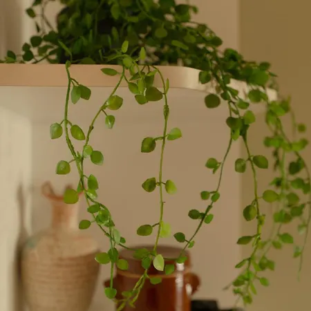 Διαμέρισμα Sea & View Νίκαια